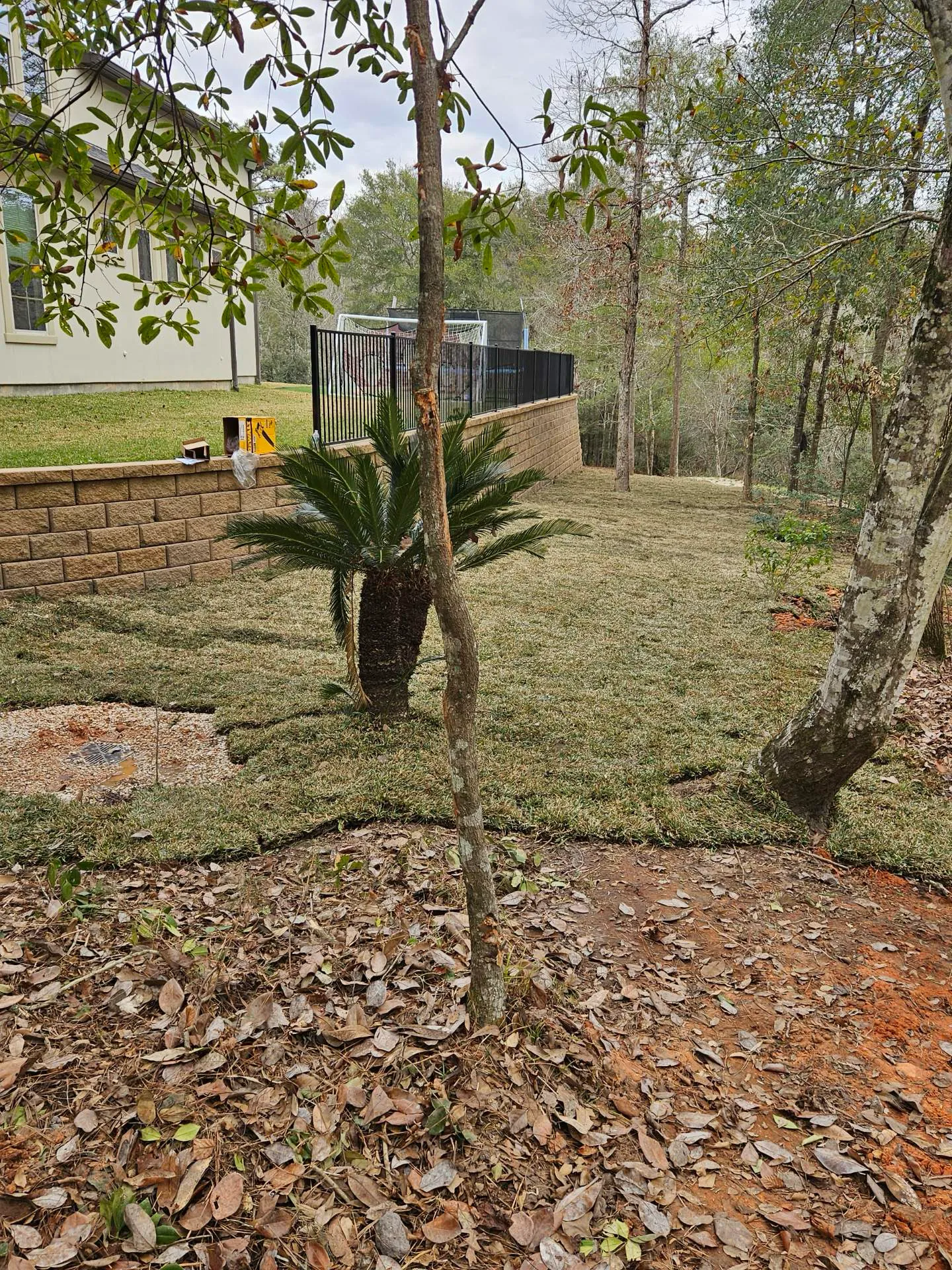 After — stabilized slope alongside the creek
