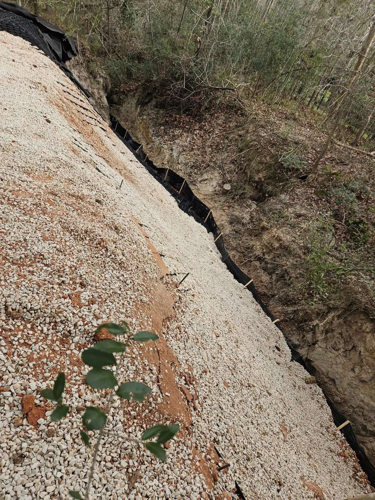 After — finished project, home protected