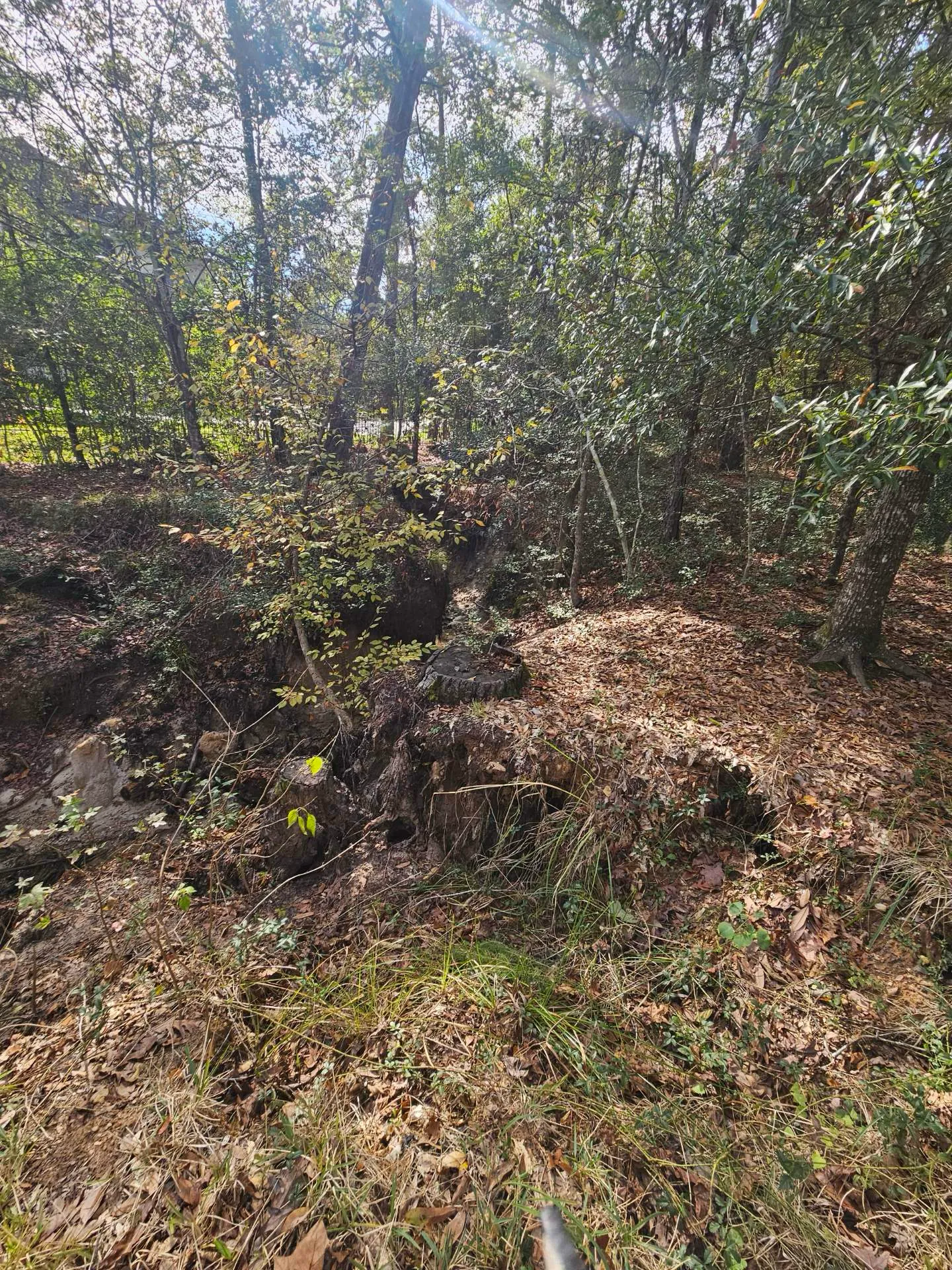 Before — eroded hillside, bare soil exposed