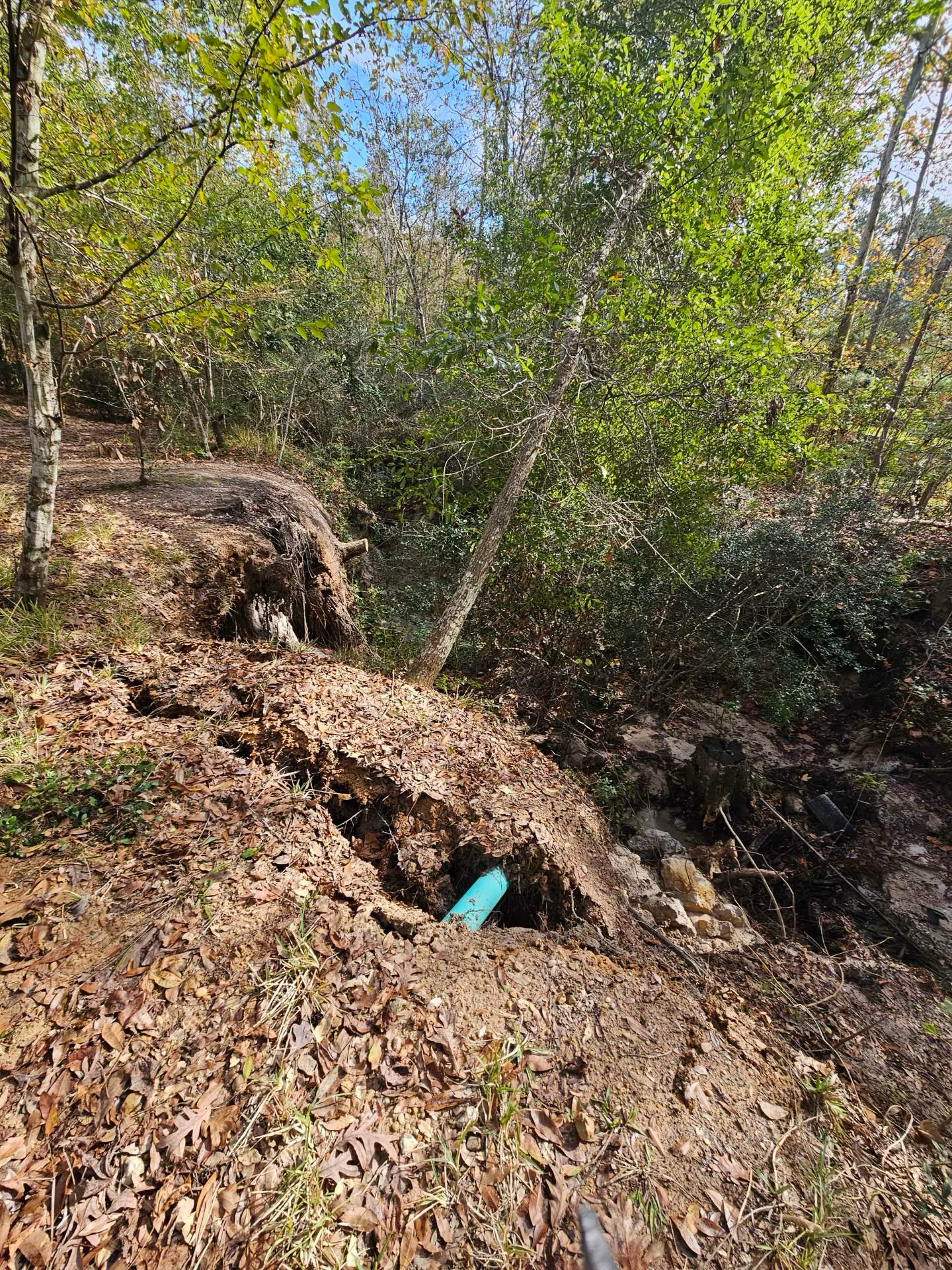 Before — erosion approaching the home's yard